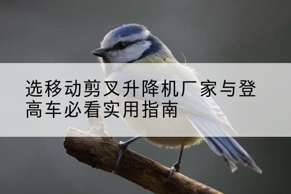 岳阳楼电动升降机厂家-选移动剪叉升降机厂家与登高车必看实用指南