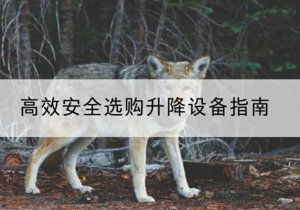 岳阳楼升降货梯厂家推荐-*安全选购升降设备指南