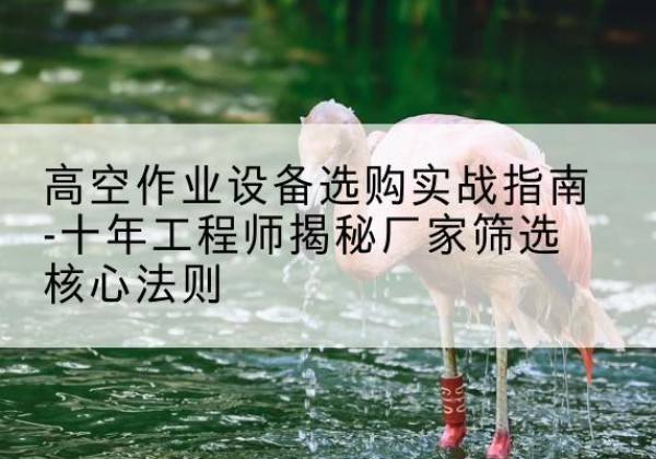 岳阳楼剪叉式升降机厂家-高空作业设备选购实战指南-十年工程师揭秘厂家筛选核心法则